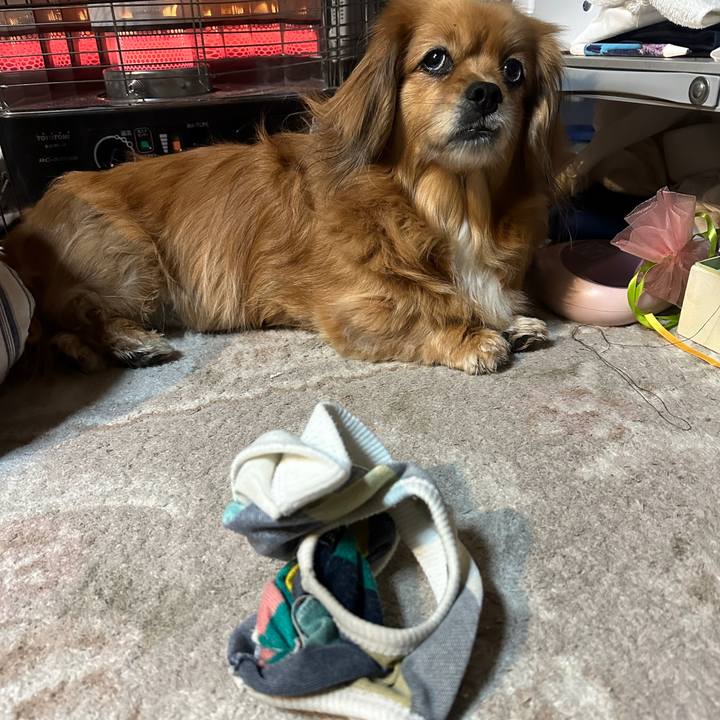 80010291 737b 4fa2 9be3 3aec2dbc6119 1709672479830