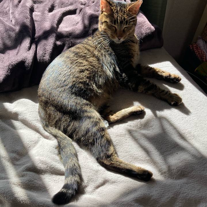 80010684 457b 4f7e ba61 65be0d92f44f 1700623491569