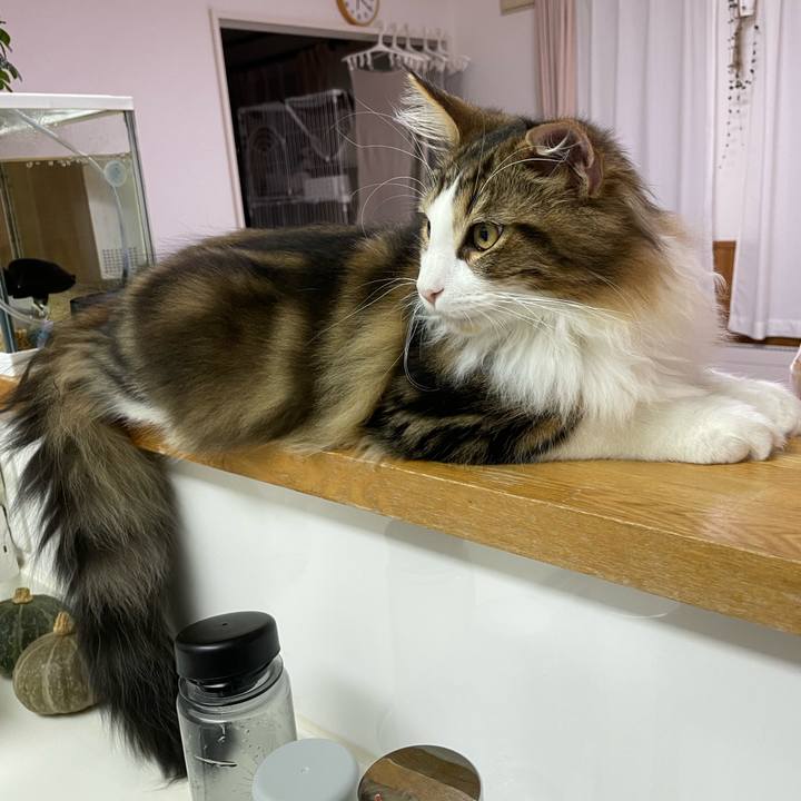 80012ad9 6500 4fba 955c d6bdb0c84803 1638869402751