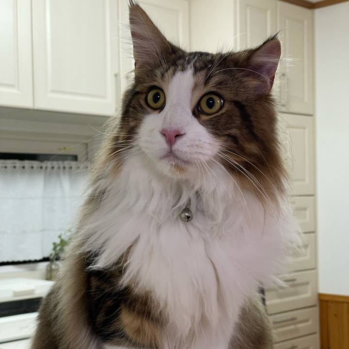 800147db c8ff 4248 831a 580dea25807b 1645780116162