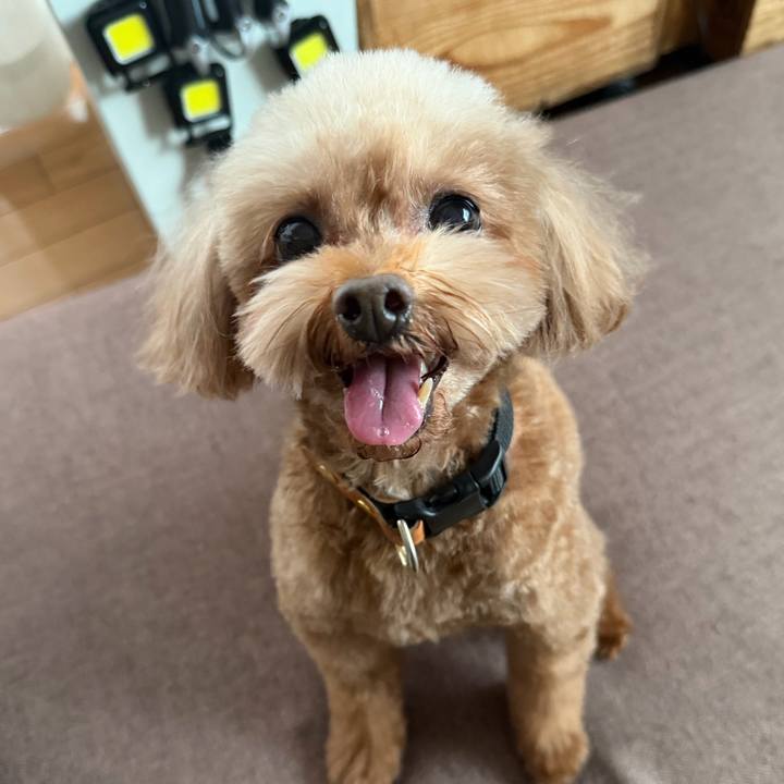 80015c6c 9ff7 449e a205 05d97bde41b7 1764079726827