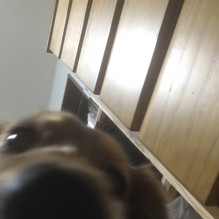 80015dee 3d76 404d b318 79723af374c9 1610798545550