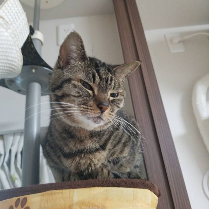 80016d02 9e1b 43ef b9cd e55e73605a37 1593375891215