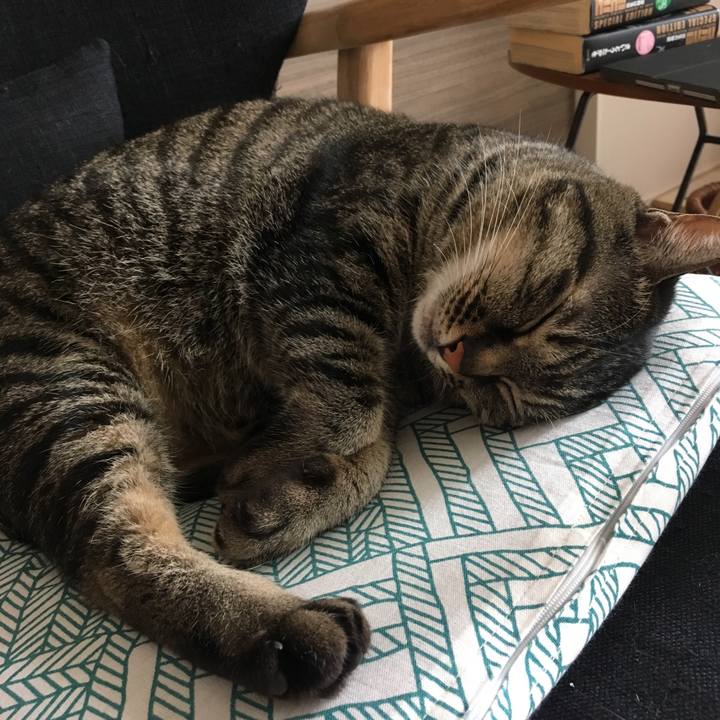 80018faf 50cd 44b2 8d55 efcd4e99930e 1588475743905