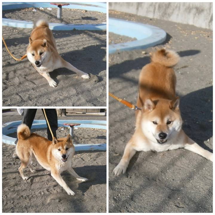 800197a1 a7d6 402a 812c b81e098746e9 1668480055270