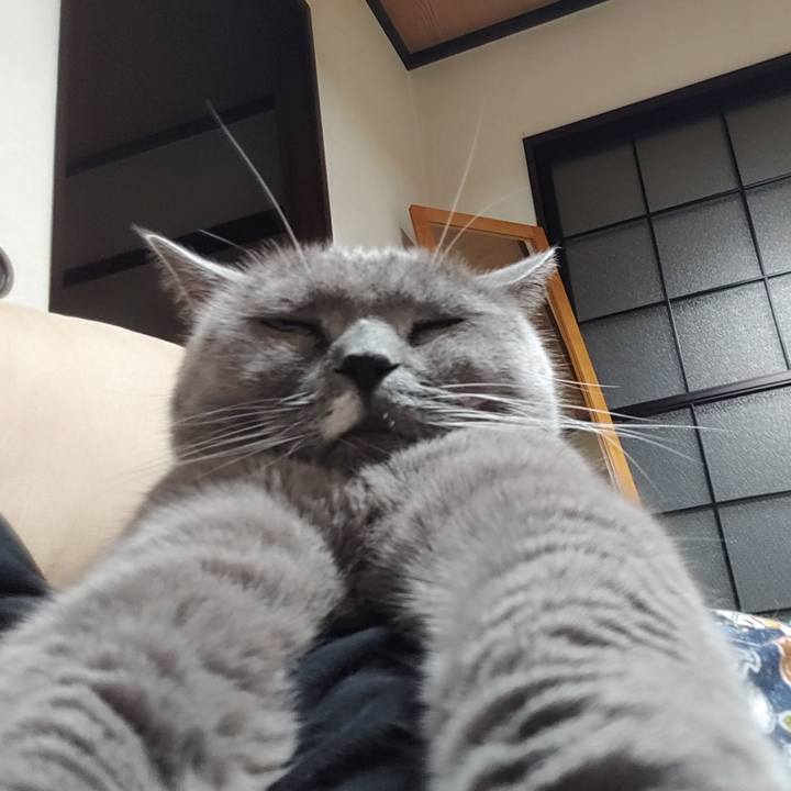 8001b805 7f1a 4ad8 94e2 a67577f1f712 1726910455504