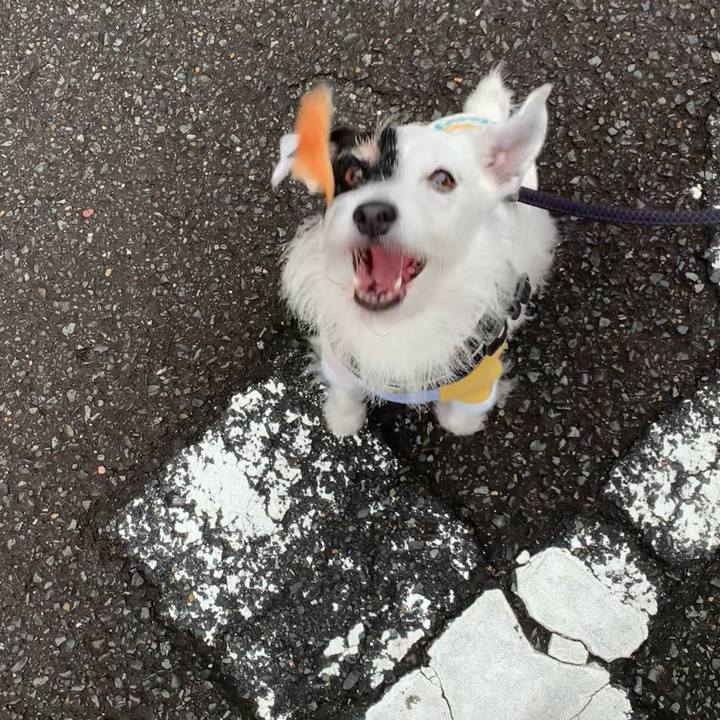 8001fc4a bb95 403f 836c c77367aed220 1731281765173