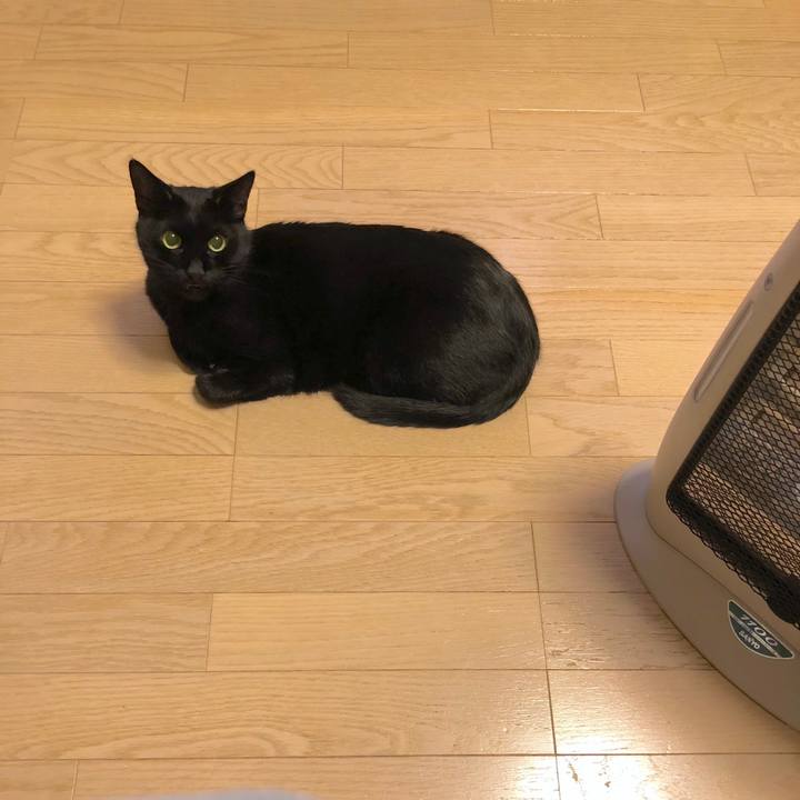 80022dfb 66c4 4076 870f ecf3566b3789 1542805984625