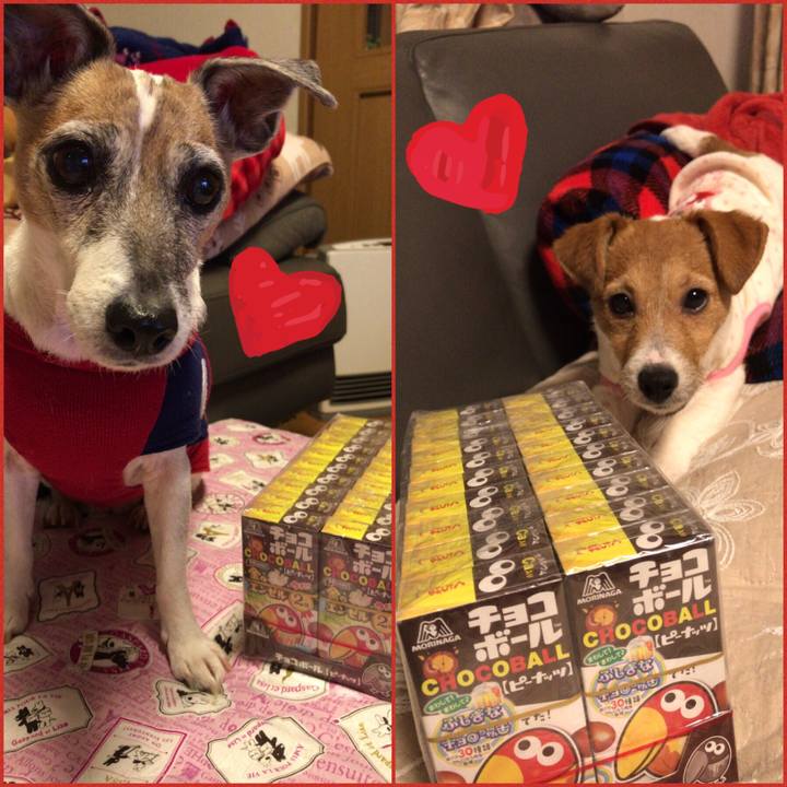 800257e9 aa81 4723 9f43 79bcd1c22240 1550154764495