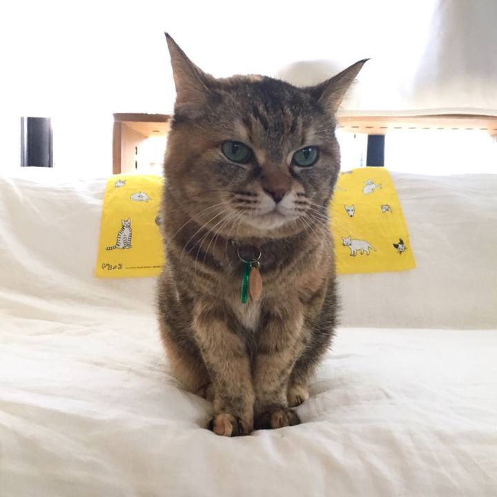 80026b81 d15d 4c10 b686 6ec12e03d13c 1515725735273