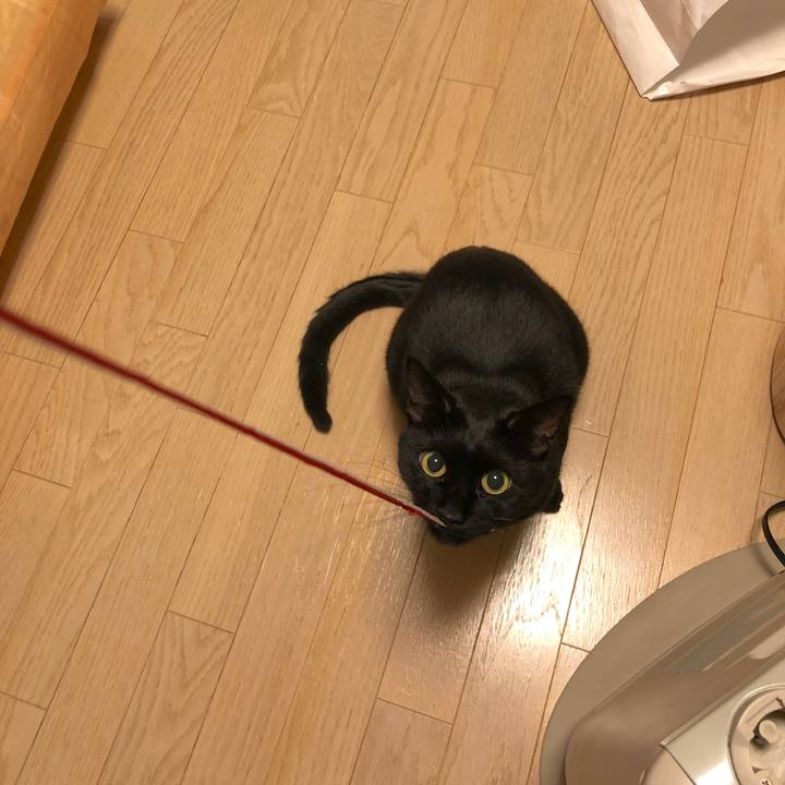 80027248 590c 47b7 a9a0 c40181e50bd9 1549454237655