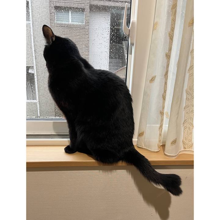 80028a26 8cba 4080 8923 724e49fff532 1644553641642