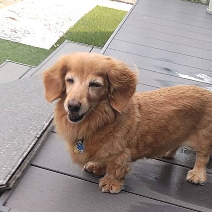 8002ad54 28b6 48a1 842c a1c7de3df768 1755355345622