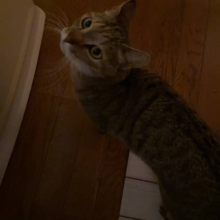 8002bafb c6be 48cd 9f11 f985403ddea0 1609105218550