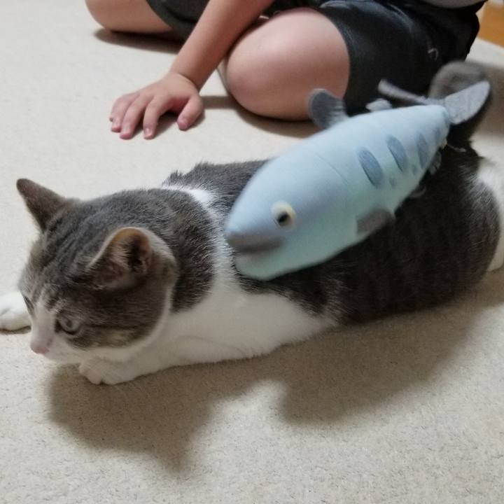 8002df02 1850 457c 839f 8bff157e6b5e 1623675998876