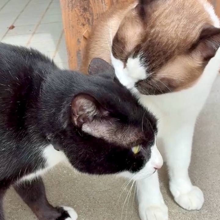 8002f188 cb60 4515 a6a9 8b2ef9cdfc4c 1754622975893