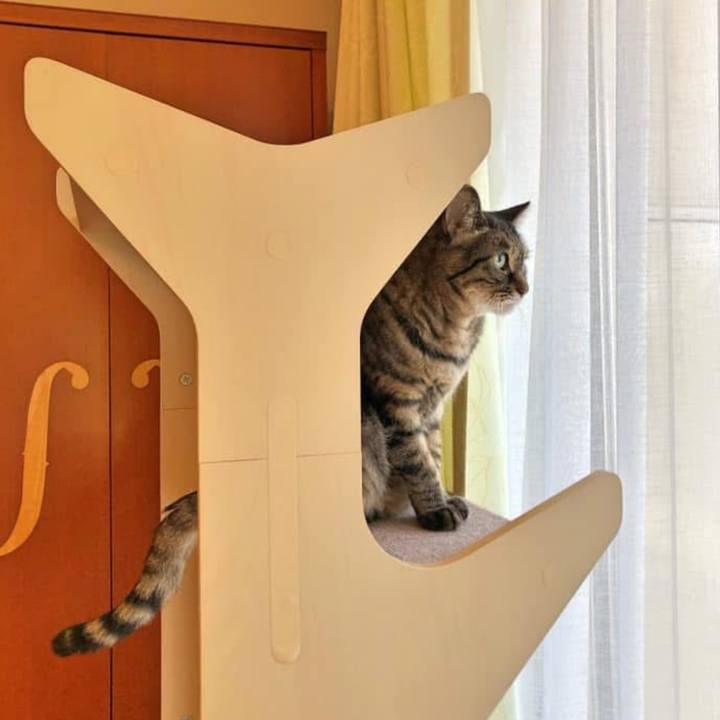 800306c4 0ec7 490f a4f9 81f54dac955d 1761988247149