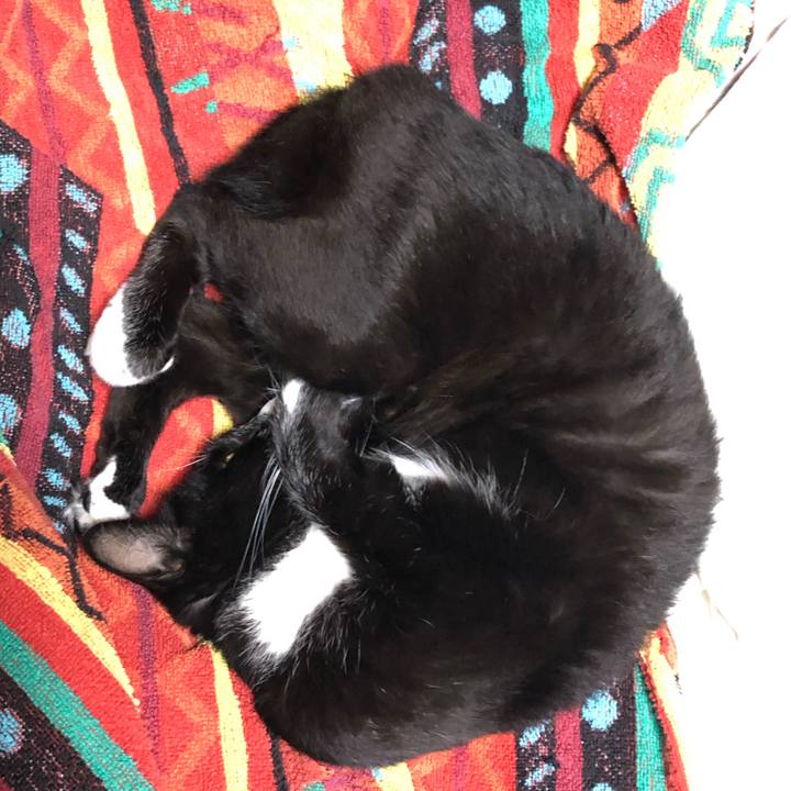 8003087e 319a 4538 a9dd 151e7c70f37a 1631245303320