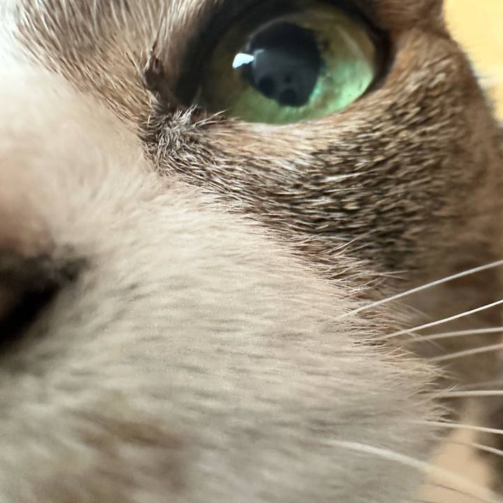 8003127f a463 44de 9da8 3392172ef99d 1683337168425