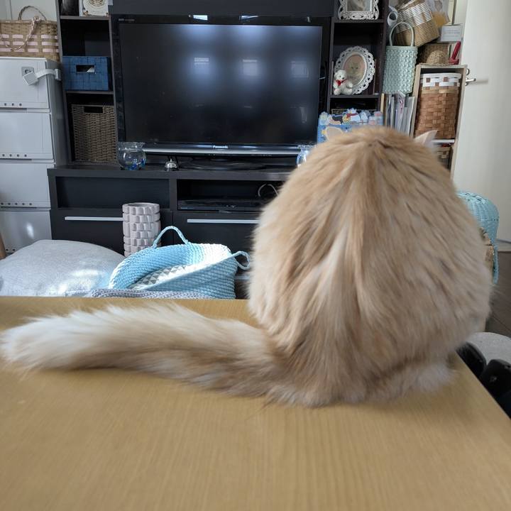 80032368 4fbe 4cf9 8203 d5023d380275 1768098630736