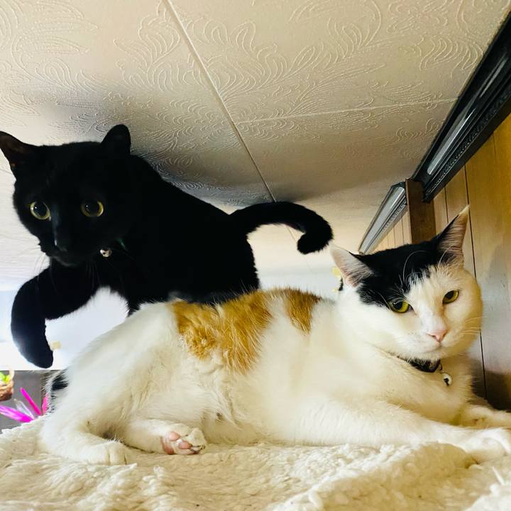 800331f4 d25b 415e 8259 70855217b0ef 1680473068511