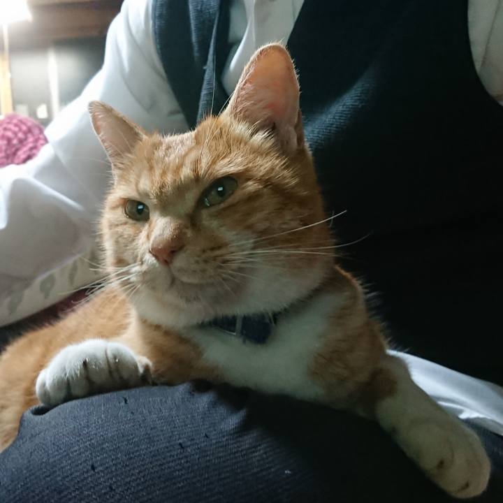 8003350d dc04 4f8e b4e2 37f57c9120c8 1606728268659