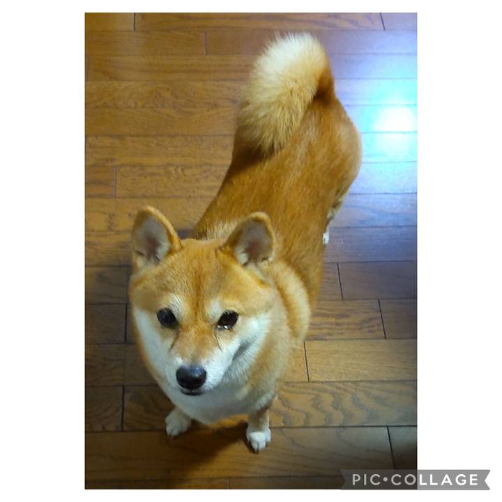 8003540d 3140 47d4 847f 2aa36a3c7cdb 1696543948552