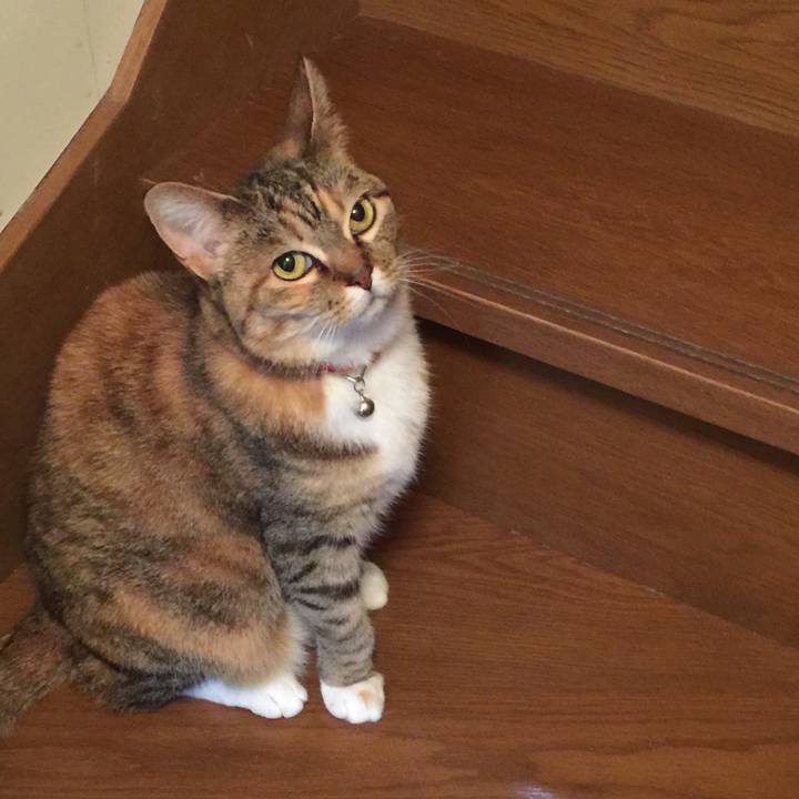 800375cd eb03 4486 a603 c26553a69809 1554540895320