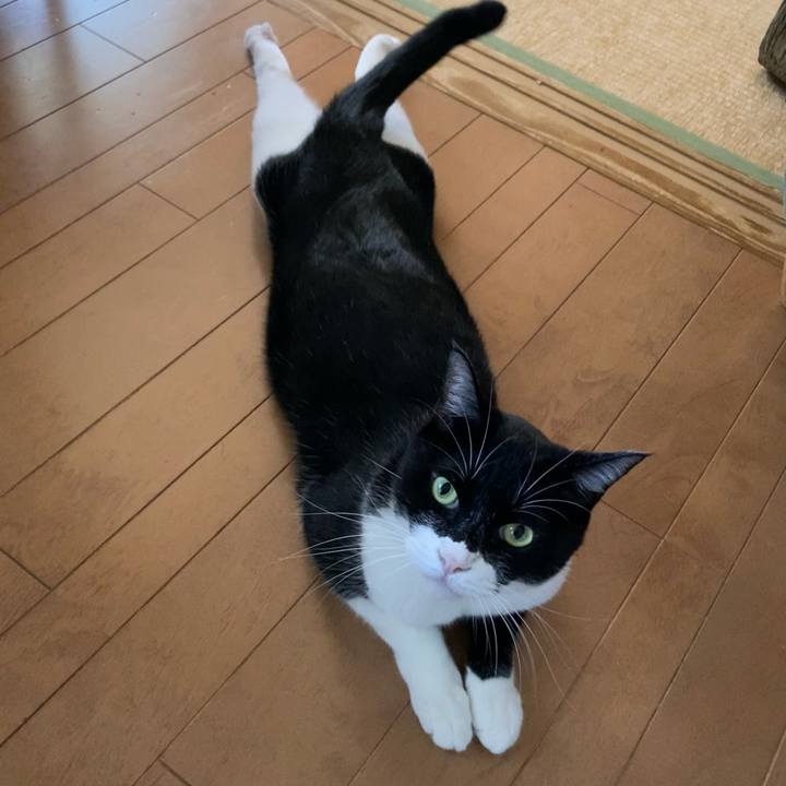 800394d8 f7dc 44b2 a75a 0dc52e1be140 1664685712630