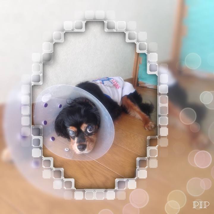 8003a67d 4c3a 420d bfe8 de1838c4dffe 1564446993677