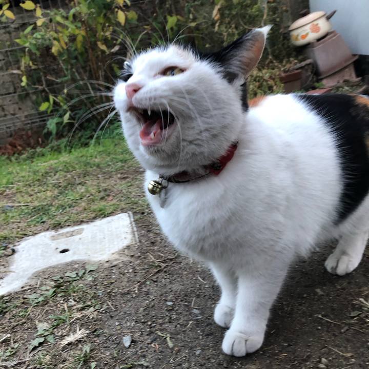 8003ab31 53d4 47e9 a4c1 eb899dca7126 1609798348746