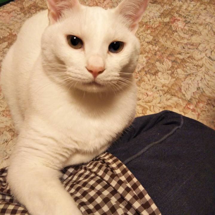 8003eb8a 805d 4aeb b6a9 a344294ca28f 1541686062985