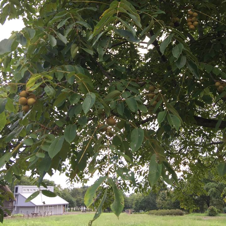 800414bd 7bd0 4424 be7f c7d5ed7009e2 1536017391467