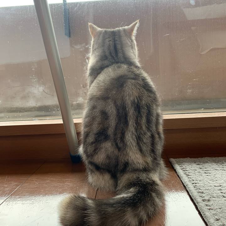 800415f5 92be 410f a1b2 32e29d14d878 1707017731352