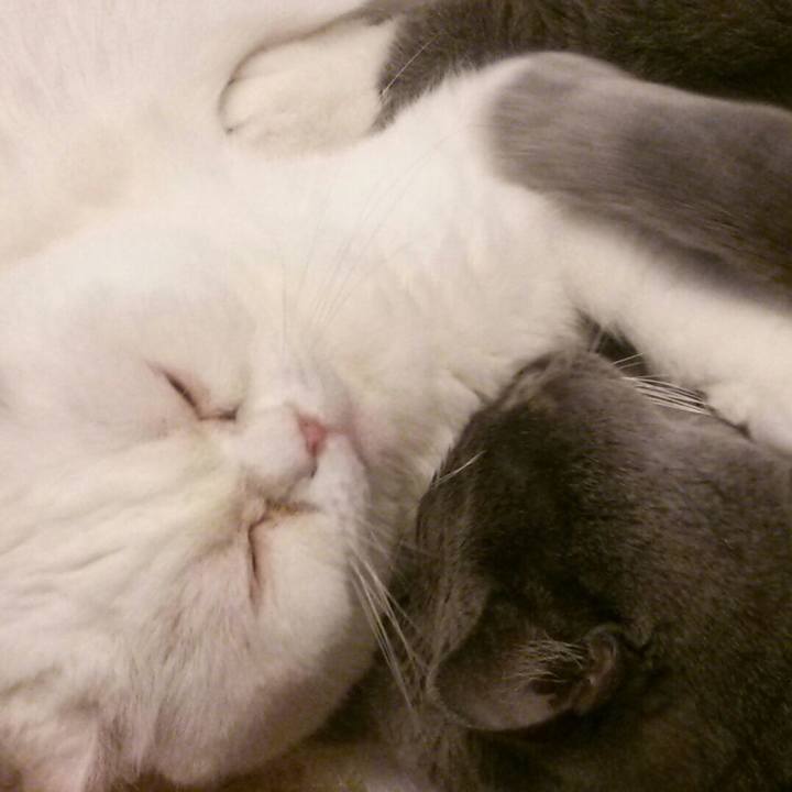 80041fe3 7fce 45e0 86e5 5bc2c6622fb9 1587696178701