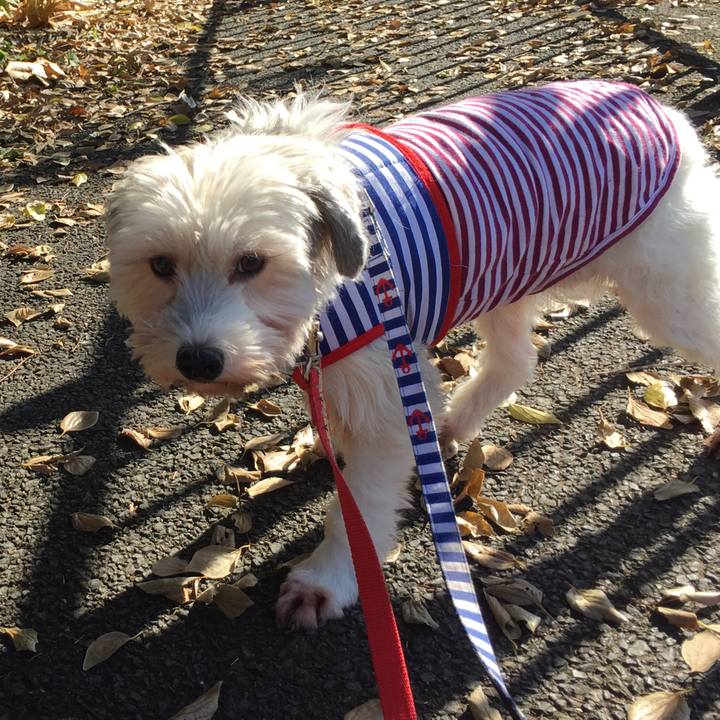 800437c3 3e3b 4d34 b3de 07893d3c4278 1512464196909