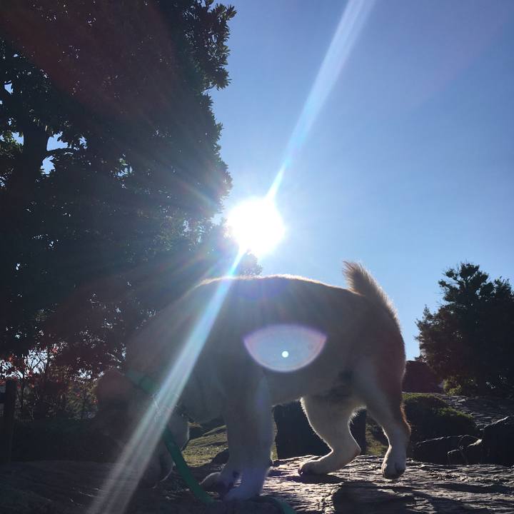 80045814 602d 4ea2 85f3 0df67b993fe5 1604139482891