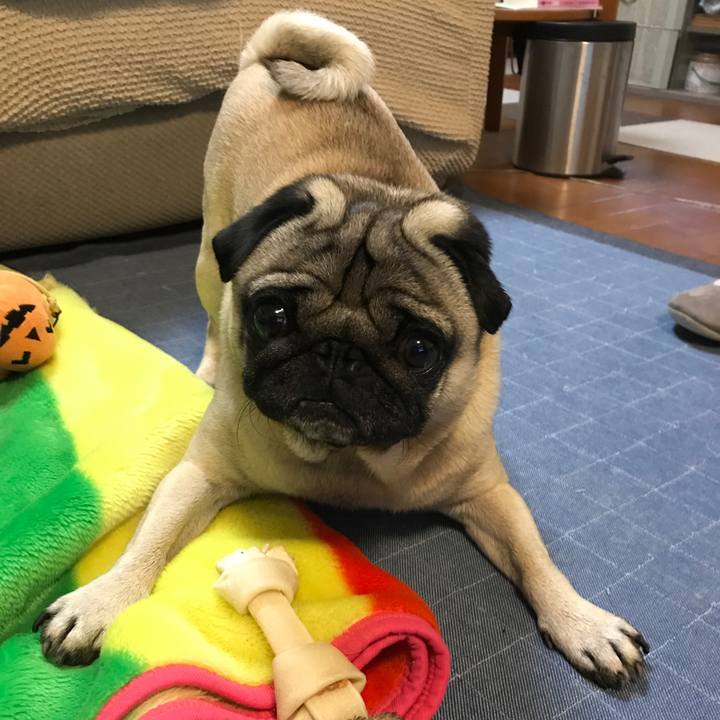 80046820 2658 4495 a1e9 3176489e73e4 1509014859448