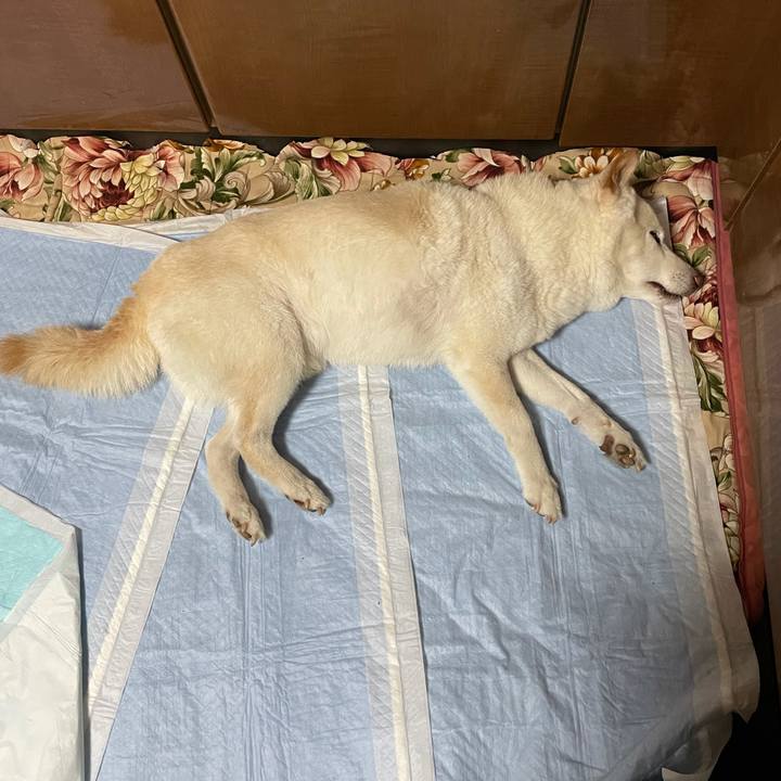 80046906 8f0b 49bb b5af 2132426e0f96 1638704767618