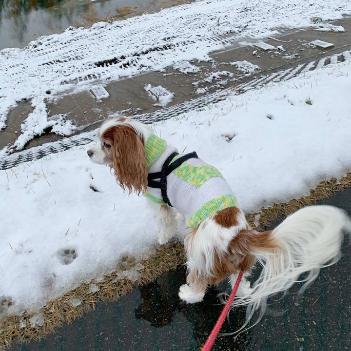 8004f675 b87c 4327 8f8e 39d8d7f16586 1575065486022