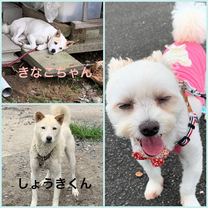 80053bb6 294d 4a92 91b6 cad0babbb8cd 1595573360207