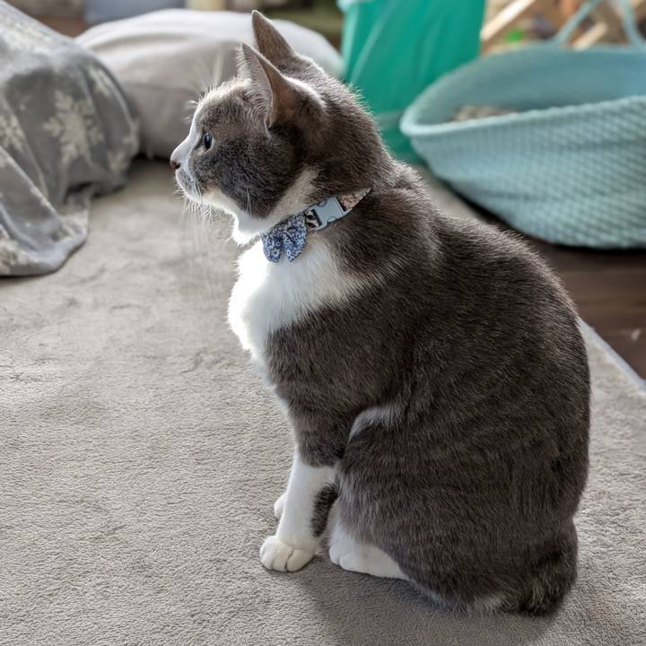 80055b93 ee0d 4481 927f cc1ac7d739ad 1733016453012