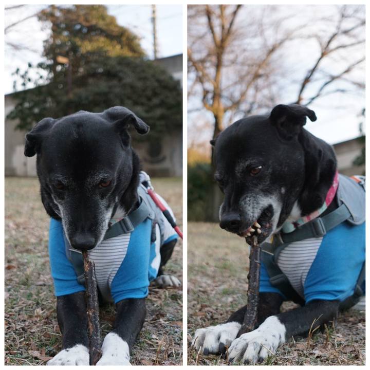 8005cdff 4e61 42bd af38 2943becfaadf 1768436875273