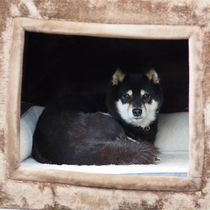 8005d5b0 2ec3 4c6a 8e45 ddc731a81adf 1768194298450