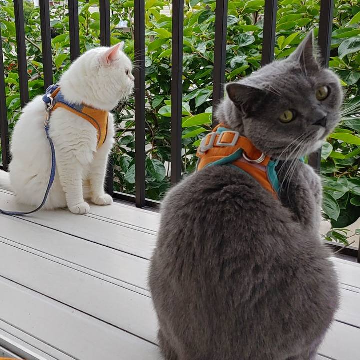 80060134 864b 4693 a6d1 862c44918ef0 1655453298075