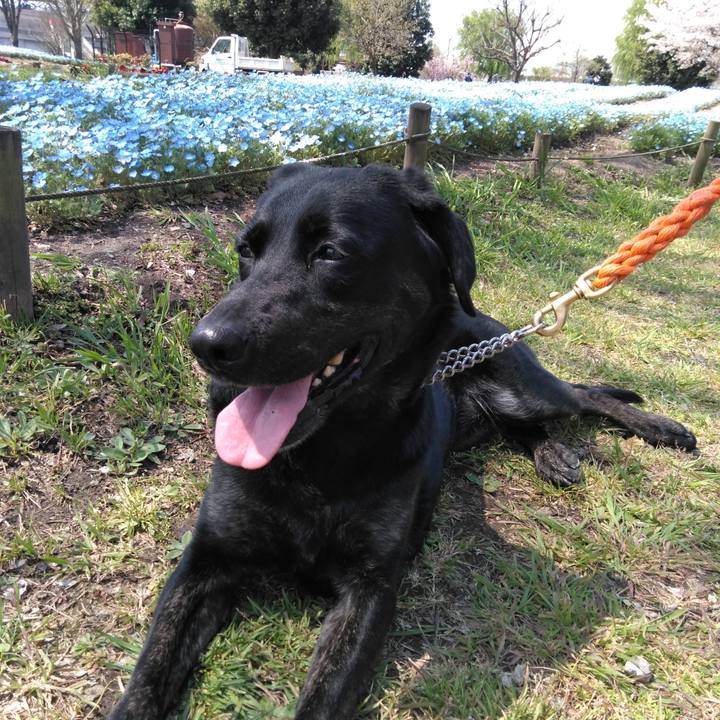 80060147 9b28 4f73 a282 bcc513949ef4 1585880954057