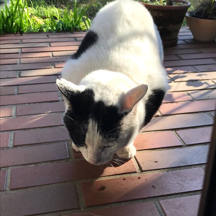 80061b2e f23f 4b30 9c58 056fdf2d00d7 1612244718474