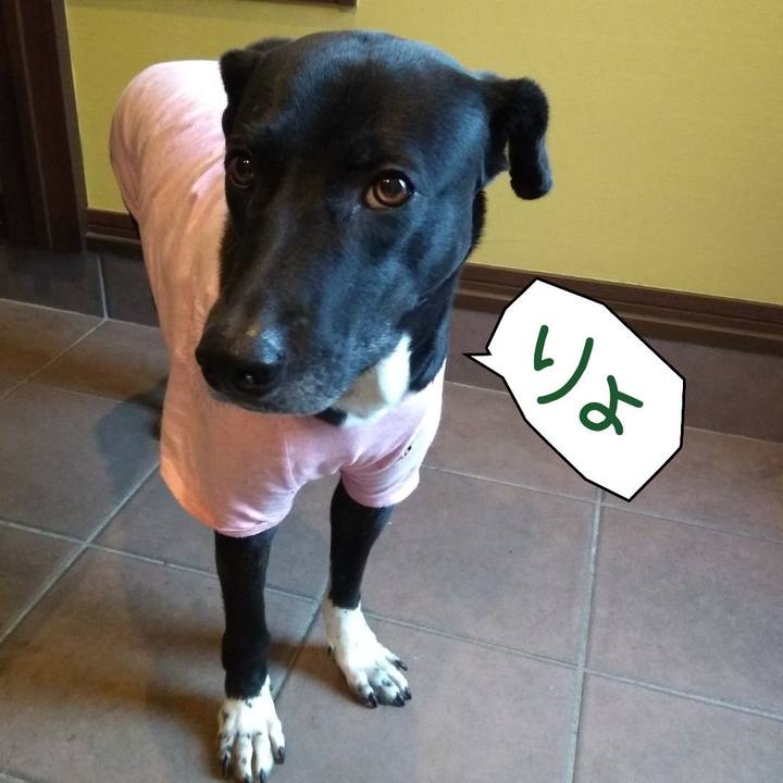 800628d2 3aa2 444a 98ac a2c4effffcd1 1616545304625