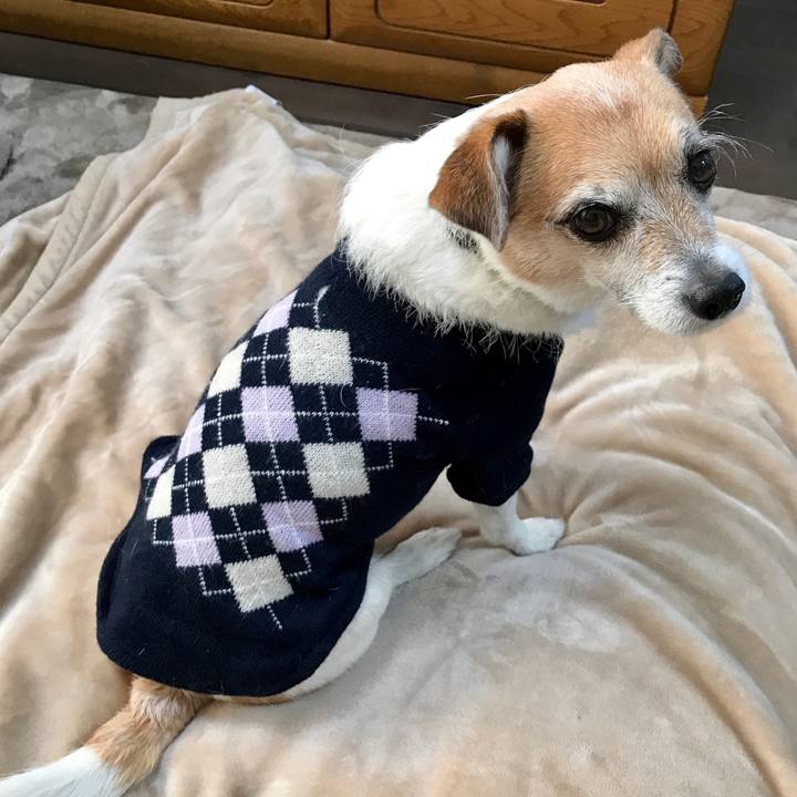 80064f0f f78d 4b48 98df e9fbb05b11b7 1612908904652