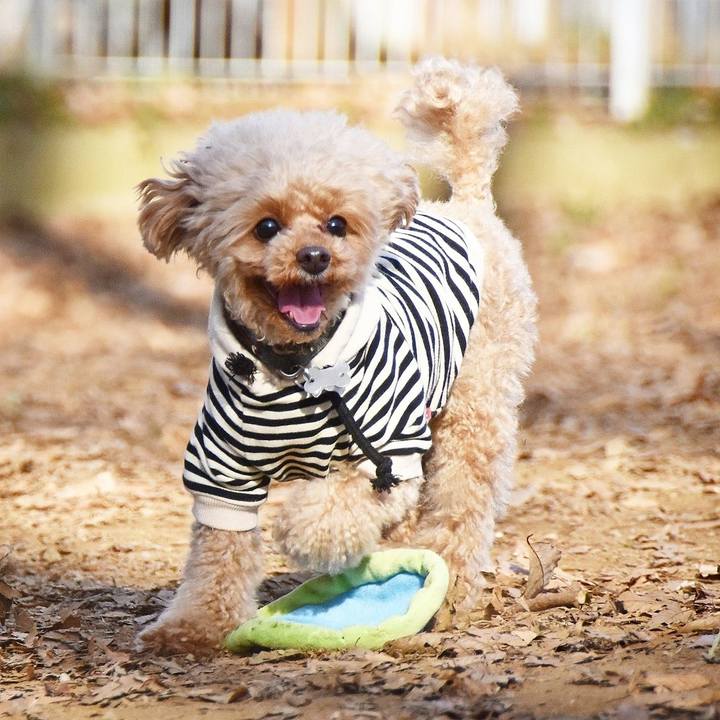 80068c7f 3ea6 4bfb bec0 291cb1fe32b1 1613095180577